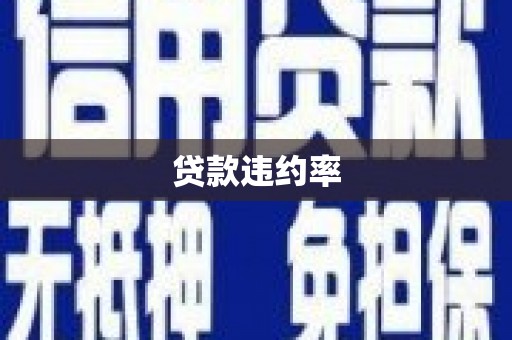 静海贷款违约率