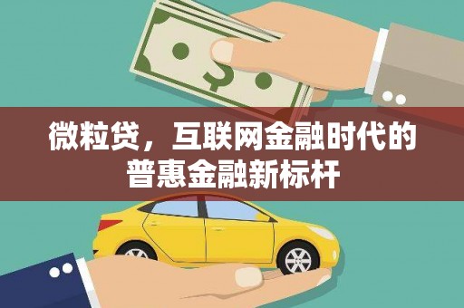 静海微粒贷，互联网金融时代的普惠金融新标杆