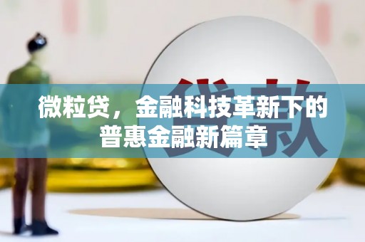 静海微粒贷，金融科技革新下的普惠金融新篇章