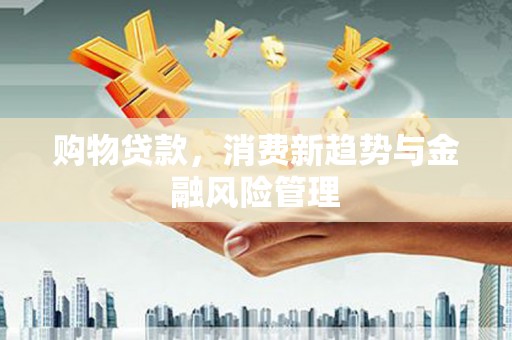 静海购物贷款，消费新趋势与金融风险管理