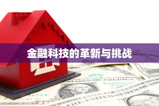 静海金融科技的革新与挑战