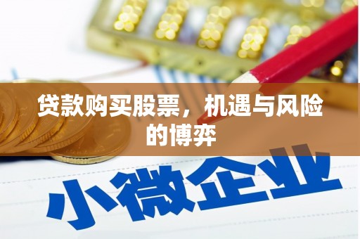 静海贷款购买股票，机遇与风险的博弈
