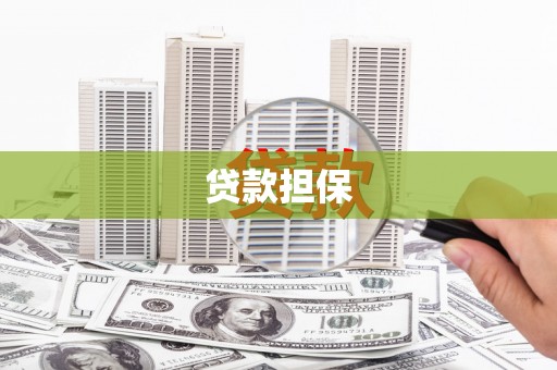 静海贷款担保