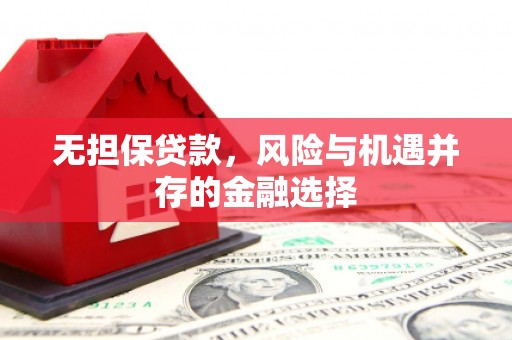 静海无担保贷款，风险与机遇并存的金融选择