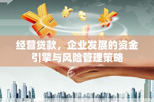 静海经营贷款，企业发展的资金引擎与风险管理策略