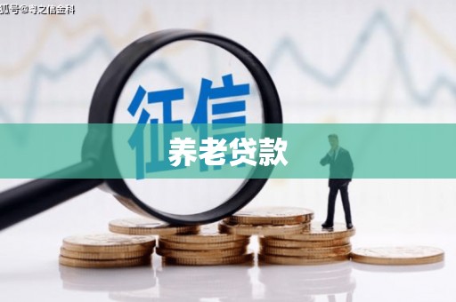 静海养老贷款