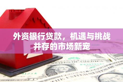 静海外资银行贷款，机遇与挑战并存的市场新宠