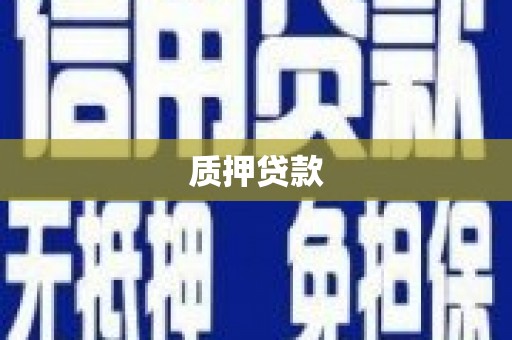 静海质押贷款