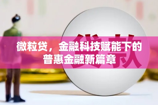 静海微粒贷，金融科技赋能下的普惠金融新篇章