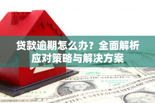 静海贷款逾期怎么办？全面解析应对策略与解决方案