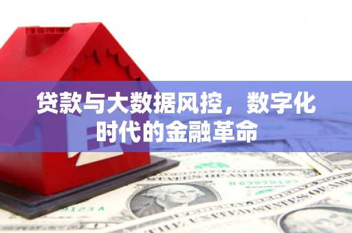 静海贷款与大数据风控，数字化时代的金融革命