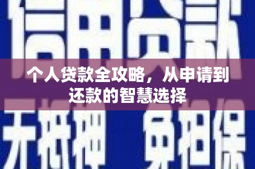 静海个人贷款全攻略，从申请到还款的智慧选择