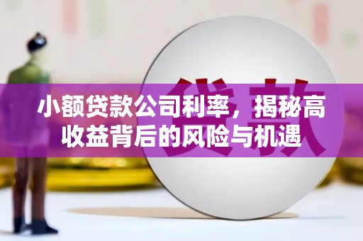 静海小额贷款公司利率，揭秘高收益背后的风险与机遇