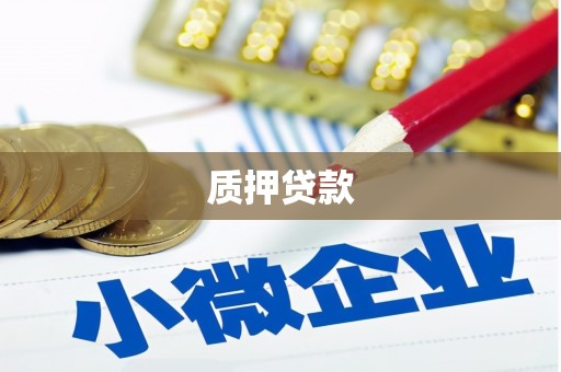 静海质押贷款