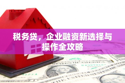 静海税务贷，企业融资新选择与操作全攻略