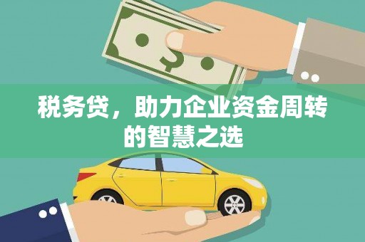 静海税务贷，助力企业资金周转的智慧之选