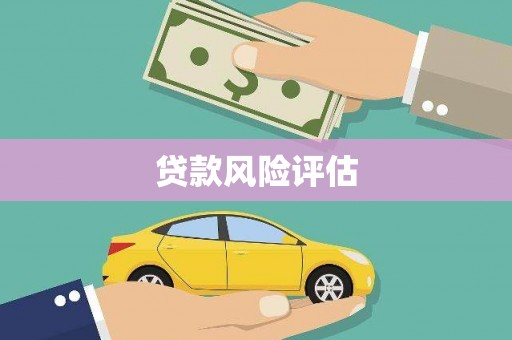 静海贷款风险评估