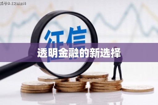 静海透明金融的新选择