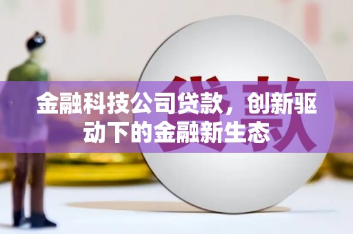 静海金融科技公司贷款，创新驱动下的金融新生态