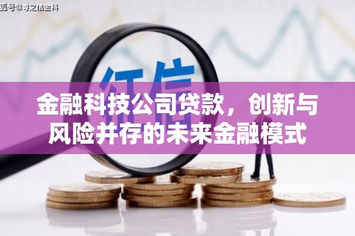 静海金融科技公司贷款，创新与风险并存的未来金融模式