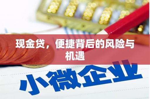 静海现金贷，便捷背后的风险与机遇