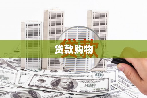 静海贷款购物