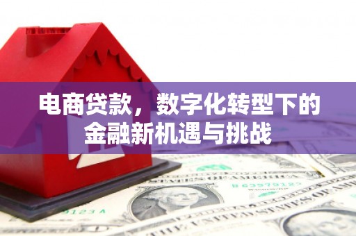 静海电商贷款，数字化转型下的金融新机遇与挑战