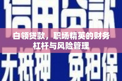 静海白领贷款，职场精英的财务杠杆与风险管理