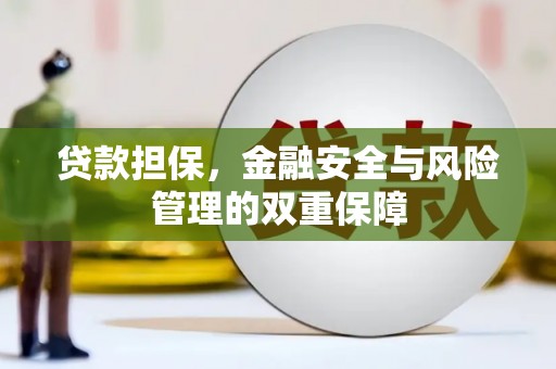 静海贷款担保，金融安全与风险管理的双重保障