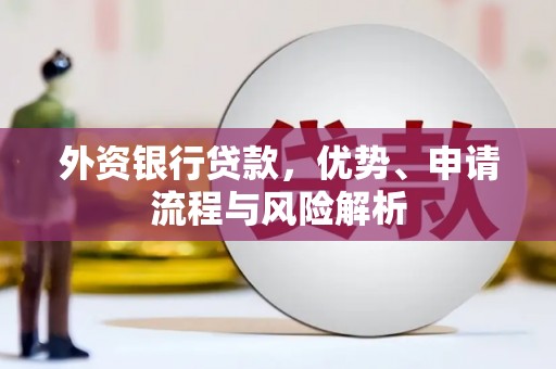 静海外资银行贷款，优势、申请流程与风险解析