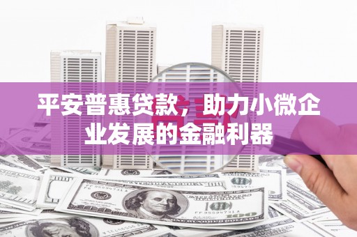静海平安普惠贷款，助力小微企业发展的金融利器