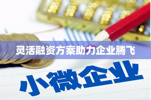 静海灵活融资方案助力企业腾飞