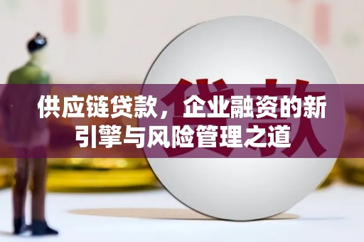 静海供应链贷款，企业融资的新引擎与风险管理之道
