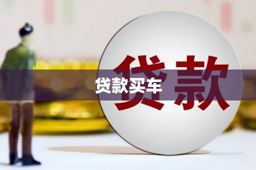 静海贷款买车