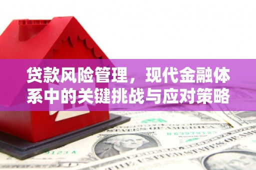 静海贷款风险管理，现代金融体系中的关键挑战与应对策略
