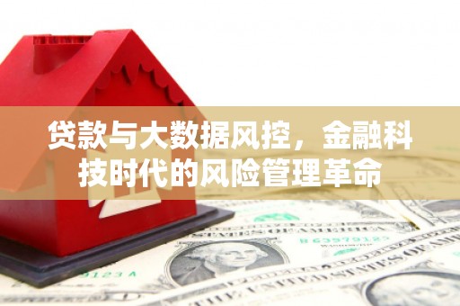 静海贷款与大数据风控，金融科技时代的风险管理革命