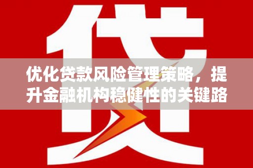 静海优化贷款风险管理策略，提升金融机构稳健性的关键路径