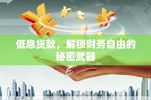 静海低息贷款，解锁财务自由的秘密武器