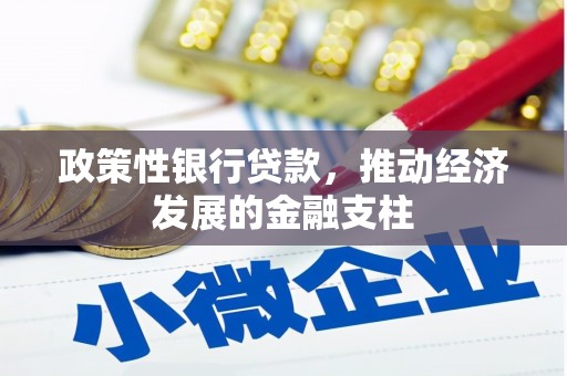 静海政策性银行贷款，推动经济发展的金融支柱