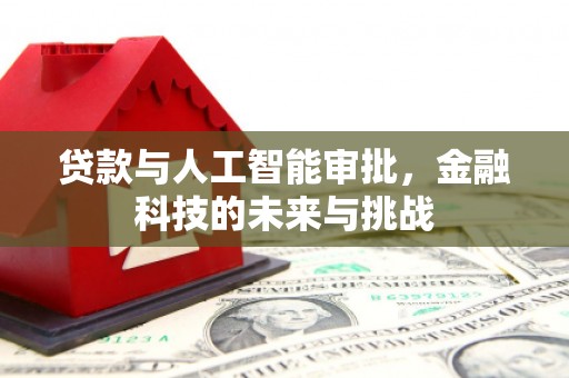静海贷款与人工智能审批，金融科技的未来与挑战