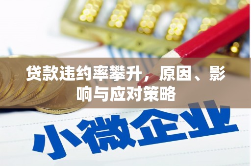 静海贷款违约率攀升，原因、影响与应对策略