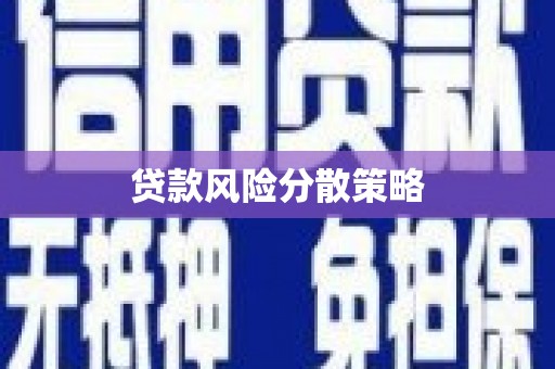 静海贷款风险分散策略