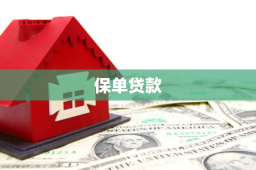 静海保单贷款