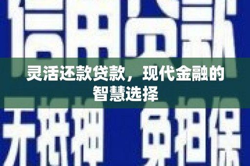 静海灵活还款贷款，现代金融的智慧选择