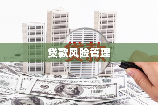 静海贷款风险管理