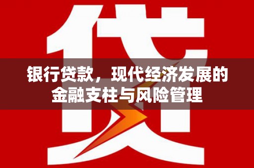 静海银行贷款，现代经济发展的金融支柱与风险管理