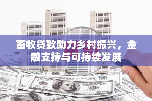 静海畜牧贷款助力乡村振兴，金融支持与可持续发展