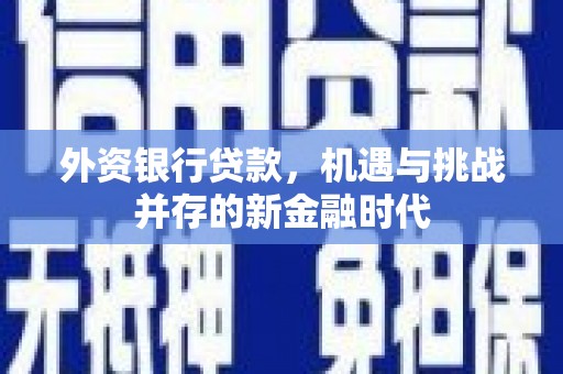 静海外资银行贷款，机遇与挑战并存的新金融时代