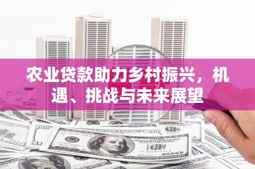 静海农业贷款助力乡村振兴，机遇、挑战与未来展望
