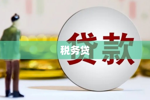 静海税务贷
